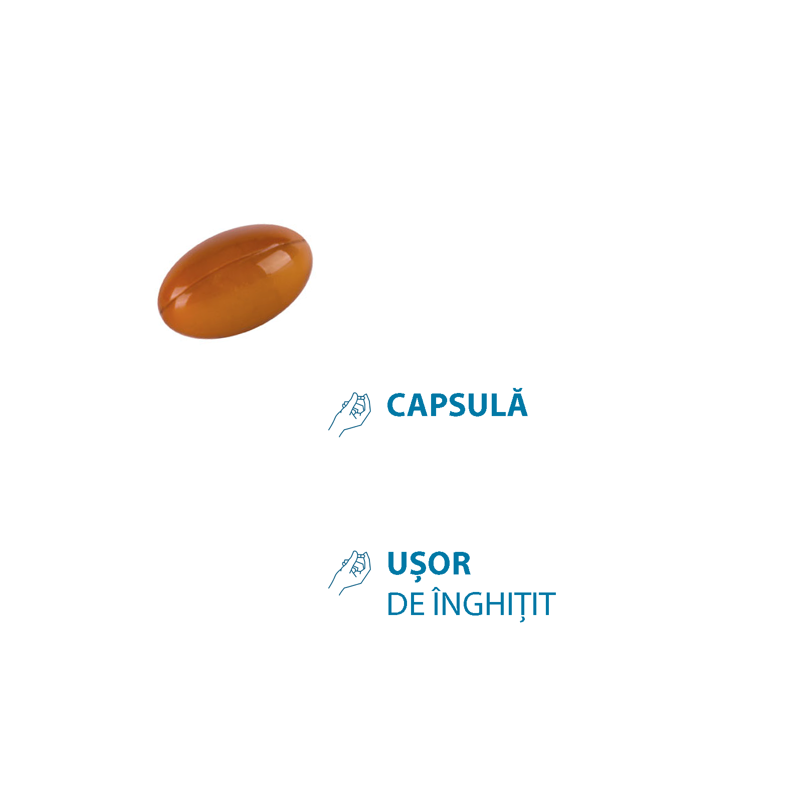 Anacaps Reactiv, 30 capsule, Ducray - imagine 4