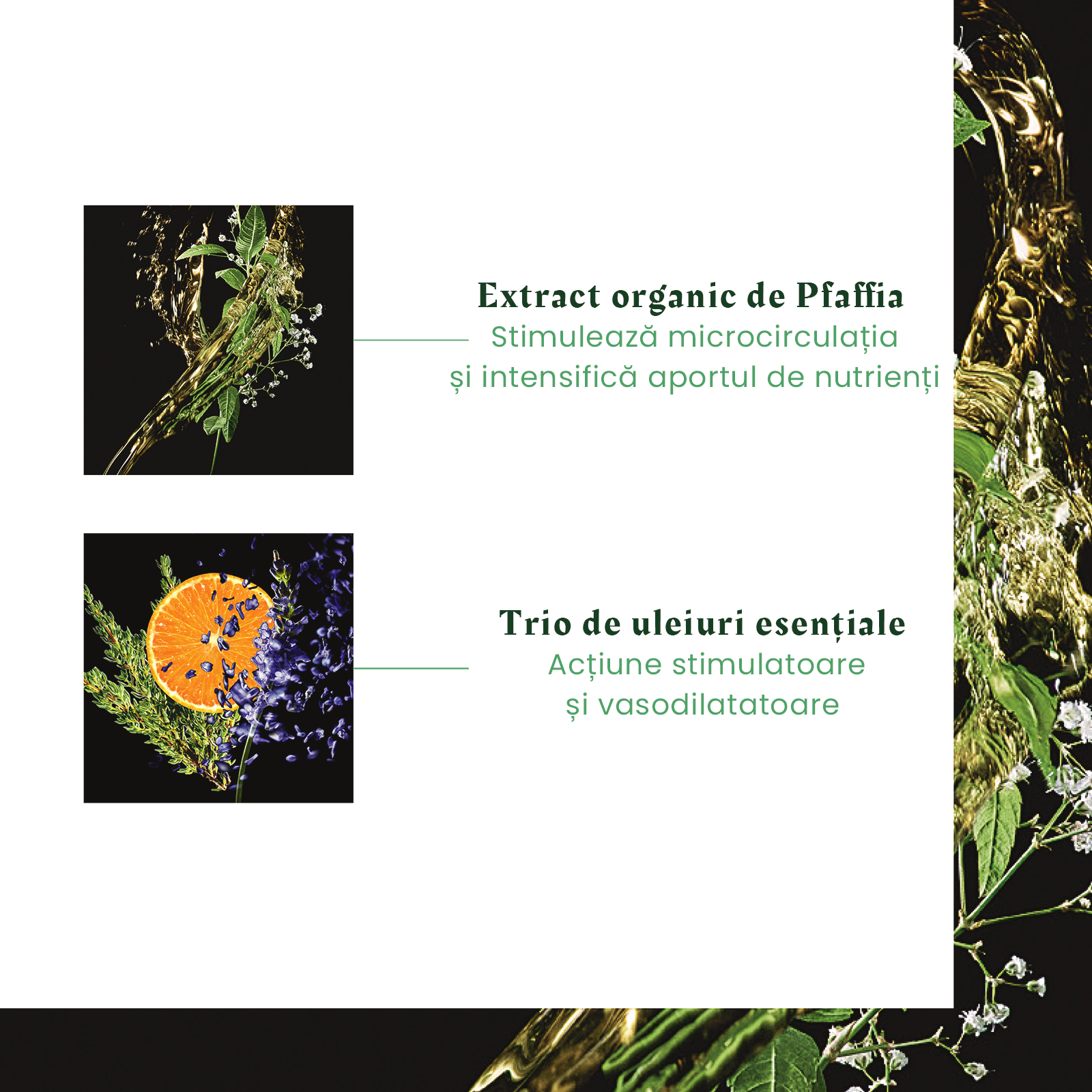 Sampon Rene Furterer Triphasic impotriva caderii parului, 200 ml - imagine 4