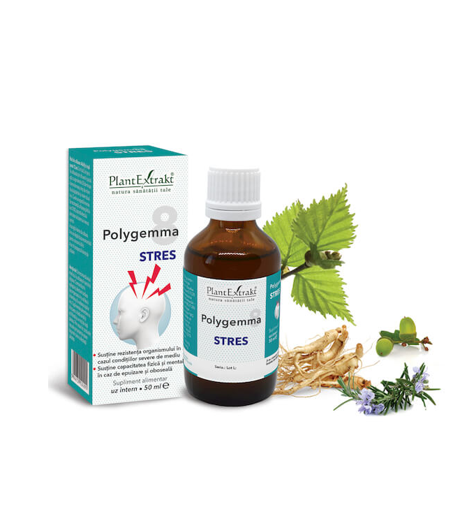Polygemma 8 - Astenie psiho-fizica si memorie, 50 ml, PlantExtrakt - imagine 2