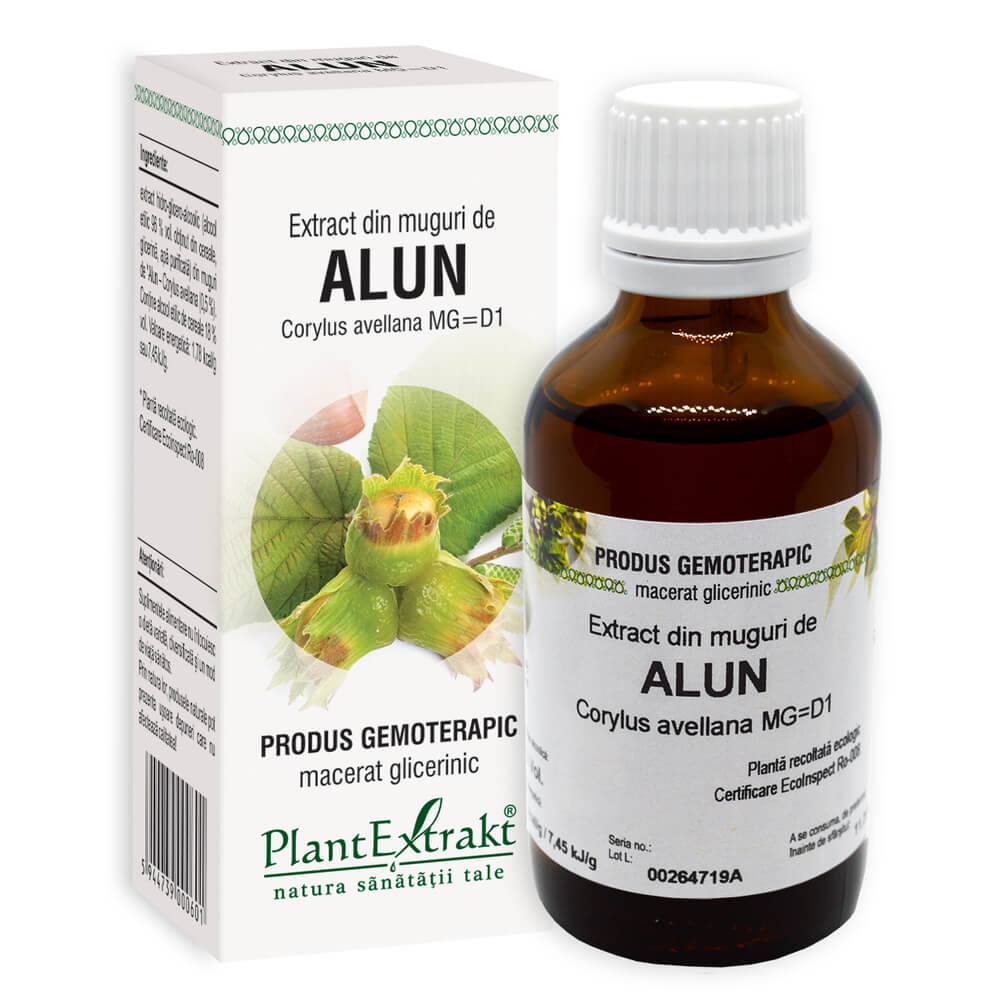Extract din muguri de Alun, 50 ml, PlantExtrakt - imagine 2