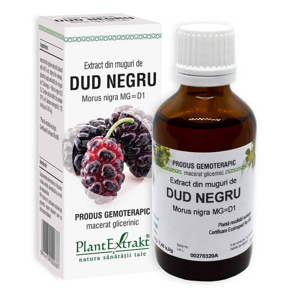 Extract din muguri de Dud Negru, 50 ml, PLX