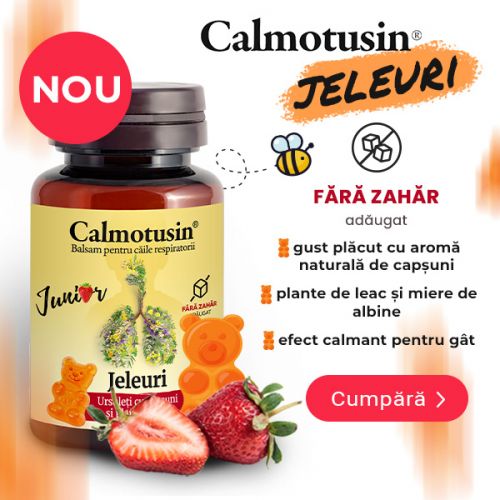 Jeleuri ursuleti cu aroma de capsuni Calmotusin Junior, 20 jeleuri