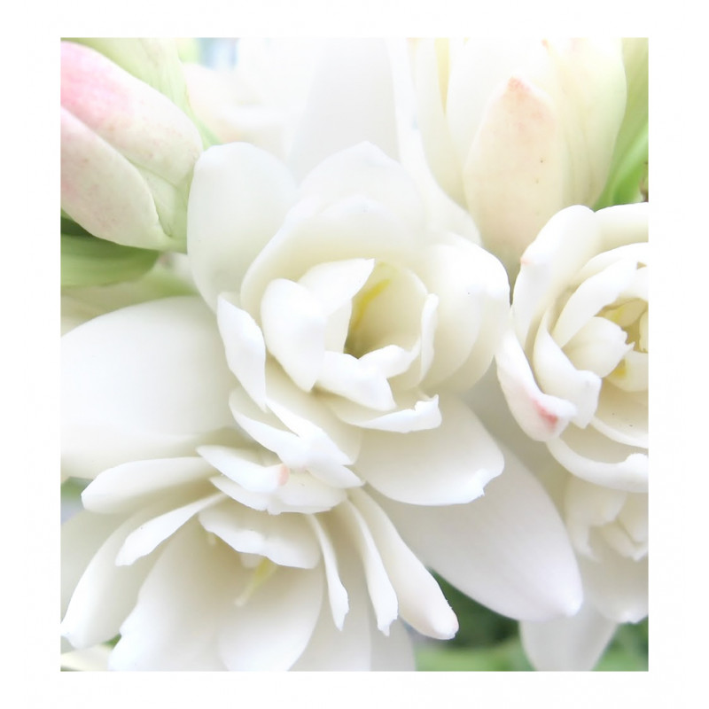 Parfum feminin Anthea, Verset - imagine 2