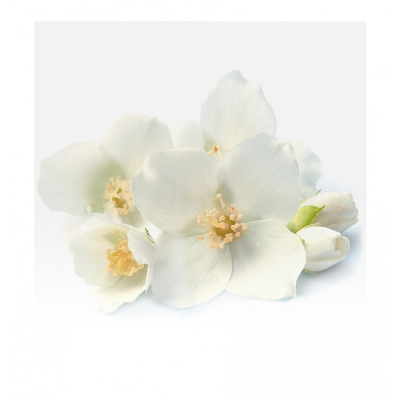 Parfum barbatesc Dylan, Verset - imagine 2