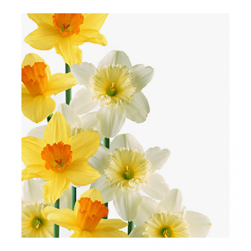 Parfum feminin Lia, Verset - imagine 2