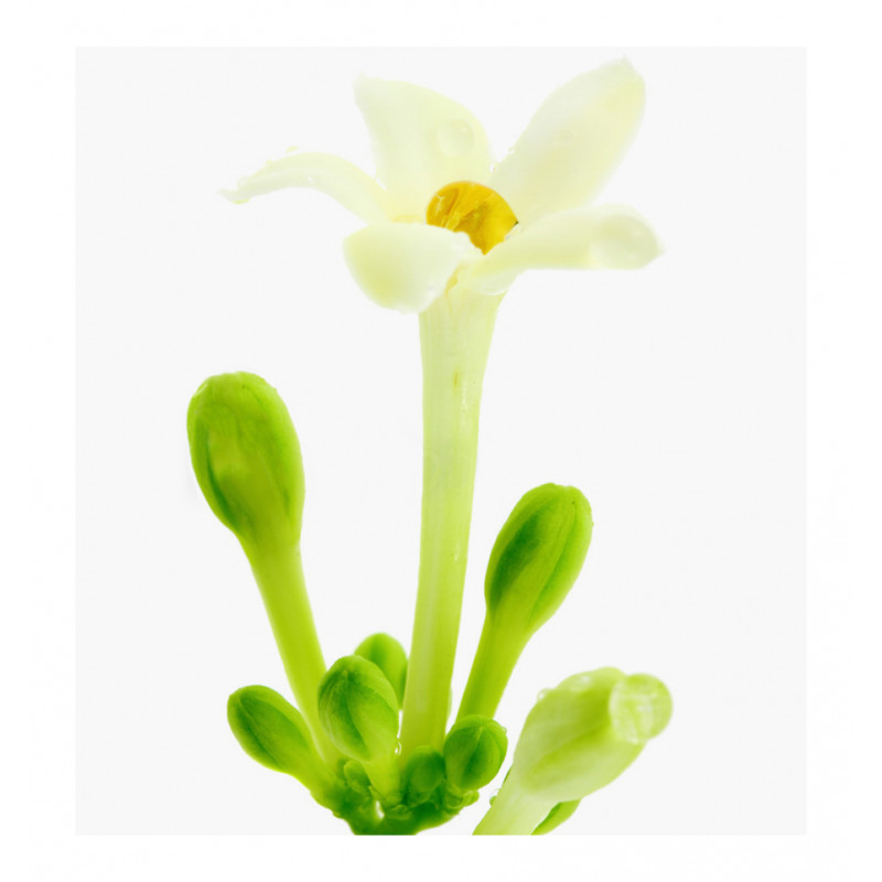 Parfum feminin Lia, Verset - imagine 4