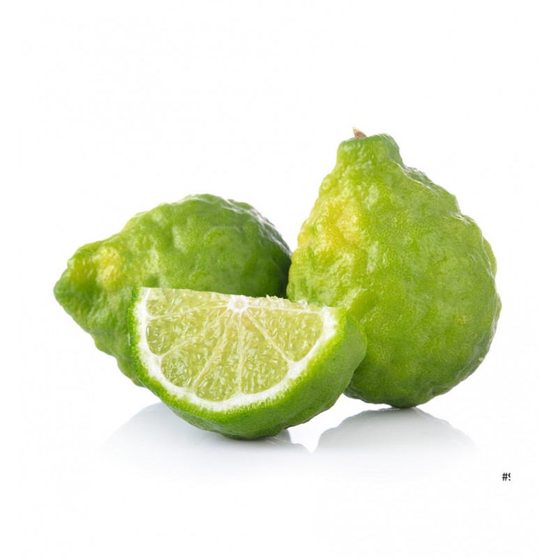 Parfum pentru copii Petite, Verset - imagine 4