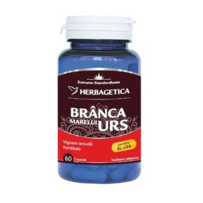 Branca Marelui Urs, 60 capsule, Herbagetica