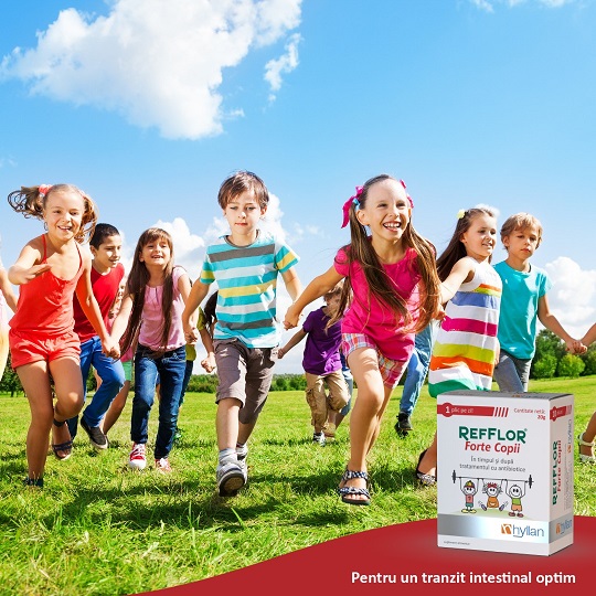 Refflor For?e Copii, 10 plicuri, Hyllan