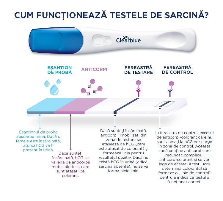 Test de sarcina detectare rapida, 1 bucata, Clearblue - imagine 2