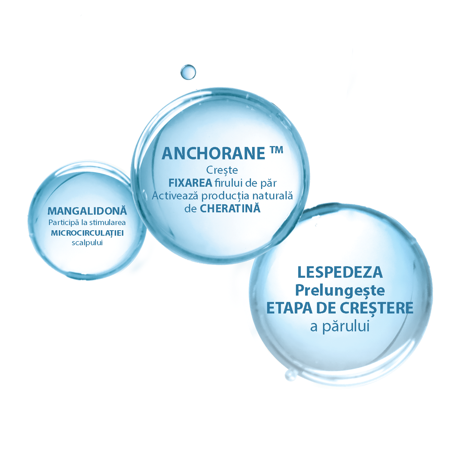 Ser anti-caderea parului Neoptide Expert, 2x50ml, Ducray - imagine 6