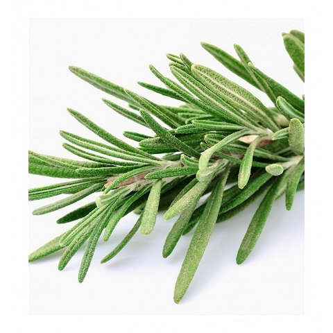 Parfum unisex D'Arte, Verset - imagine 3