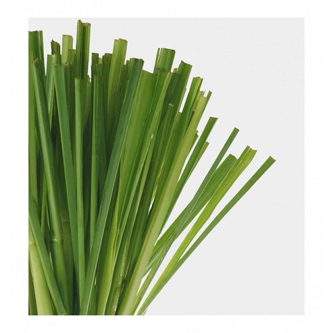 Parfum barbatesc Homme Sport, Verset - imagine 4