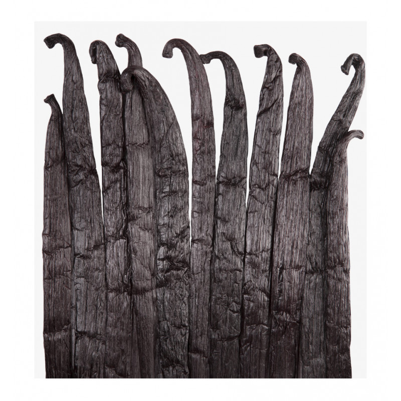 Parfum feminin Jana, Verset - imagine 3