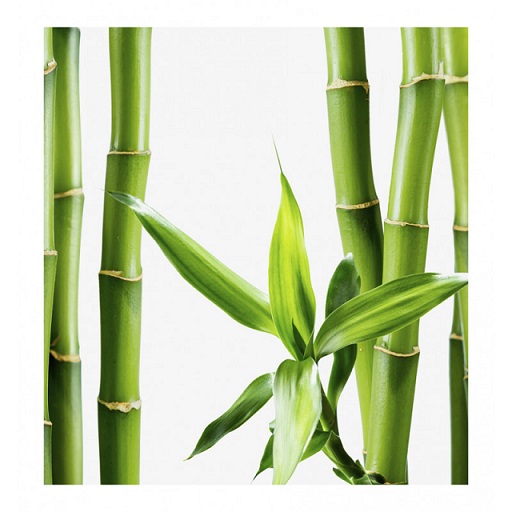 Parfum feminin Sensi Piu, Verset - imagine 3