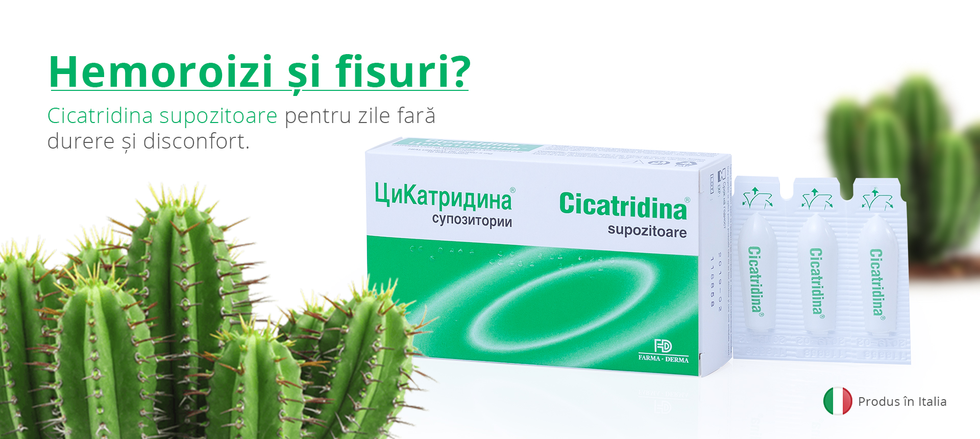 Cicatridina supozitoare, 10 bucati, Farma-Derma - imagine 2