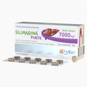 Silimarina Forte Milk Thistle 7000mg, Hyllan
