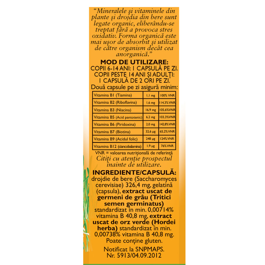 Vitamine naturale B Complex, F172, 60 capsule, Fares - imagine 3