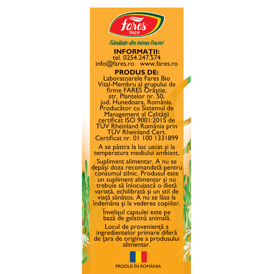Vitamine naturale B Complex, F172, 60 capsule, Fares - imagine 2