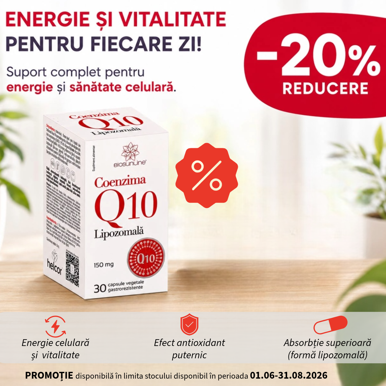 oferta1