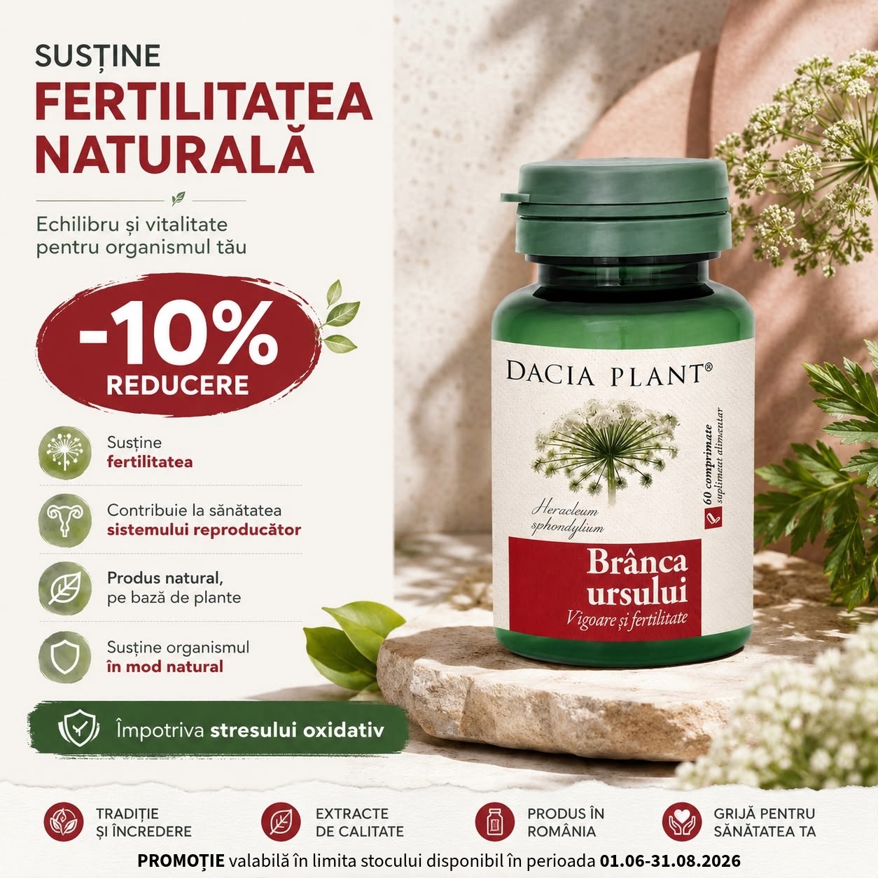 oferta2